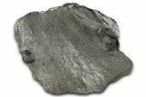Plate of Three Red Embers Garnets in Graphite - Massachusetts #375805-1